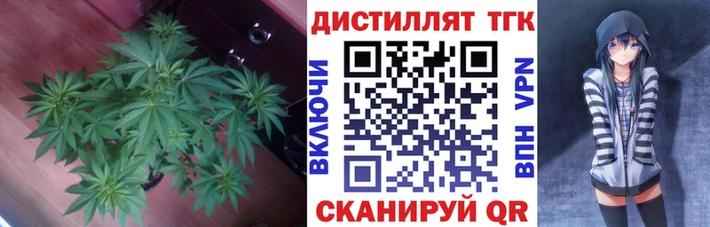 Купить закладки  Железноводск  Дистиллят ТГК жижа 