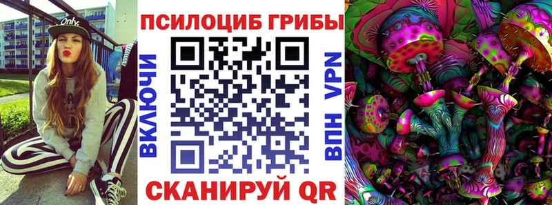 Псилоцибиновые грибы GOLDEN TEACHER Купить закладки Железноводск